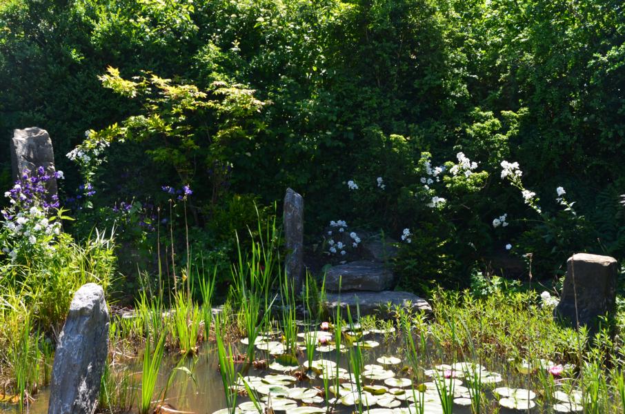 Wildgarten mit Weiher